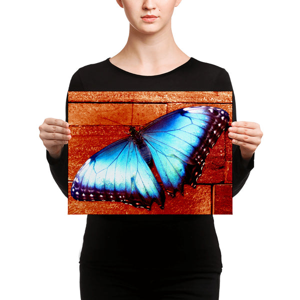 Butterfly Canvas