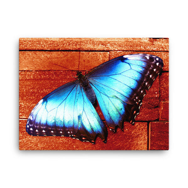 Butterfly Canvas