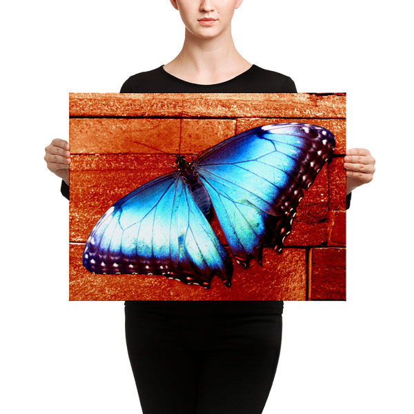 Butterfly Canvas