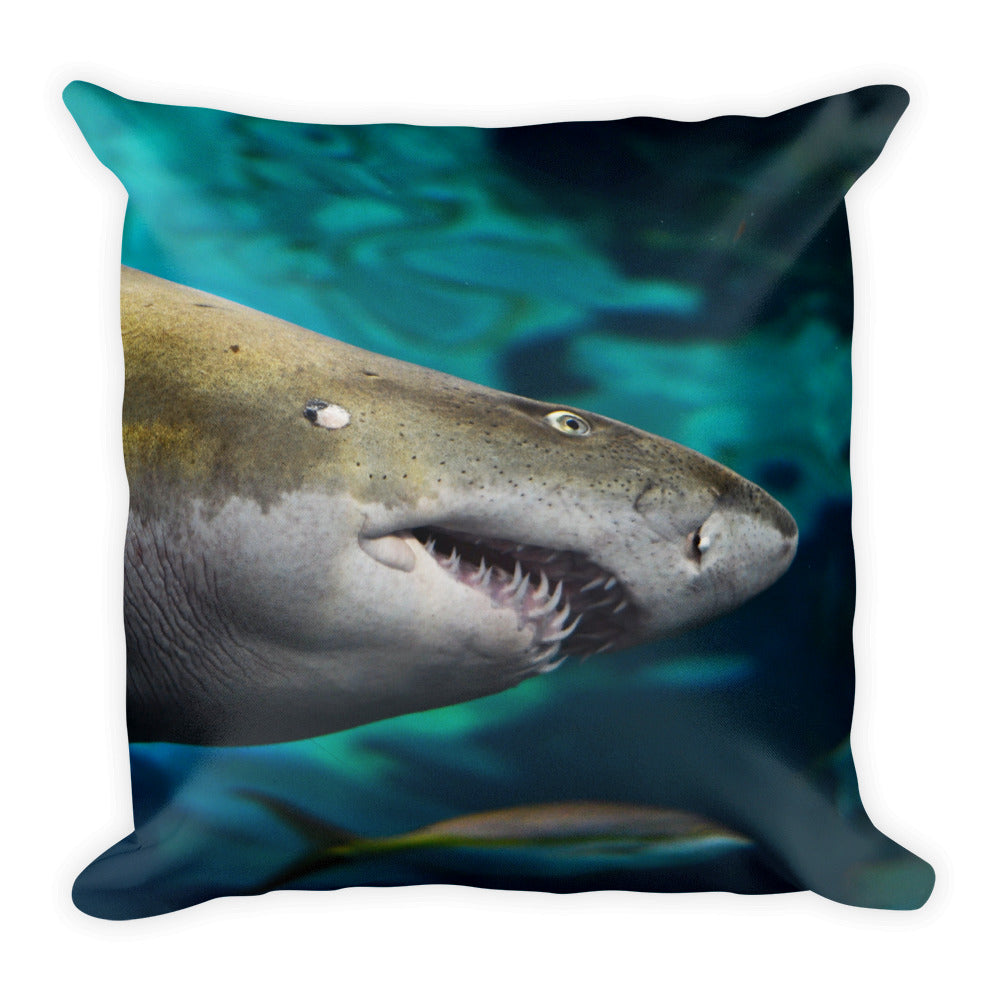 Shark Pillow