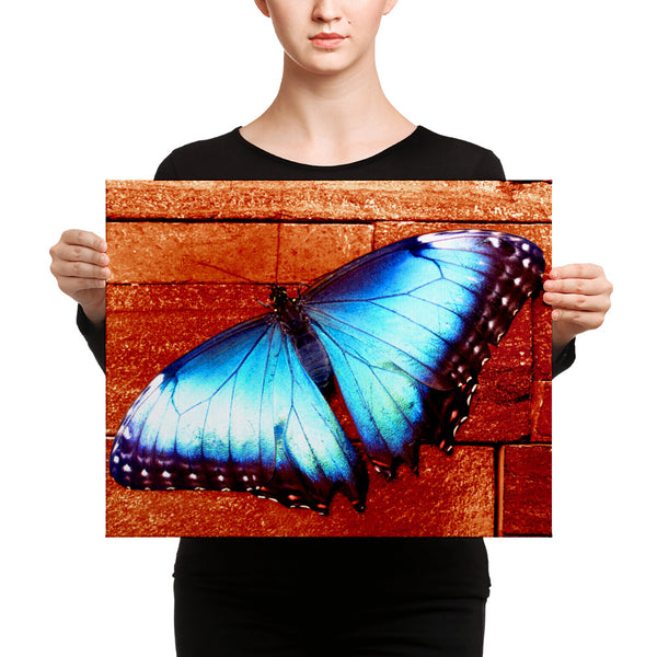 Butterfly Canvas