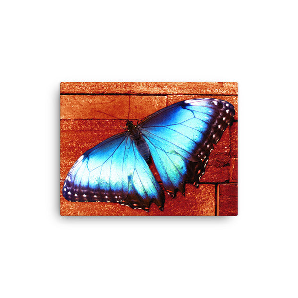 Butterfly Canvas