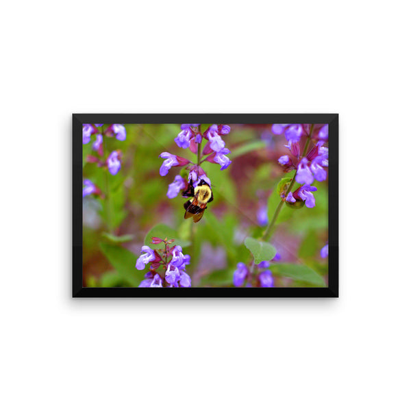 Bee Framed Poster