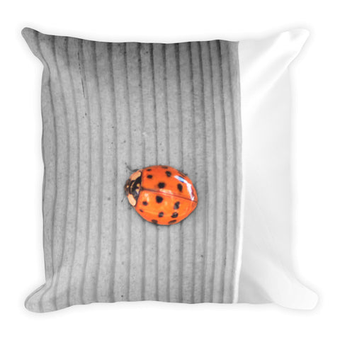 Lady Bug Pillow