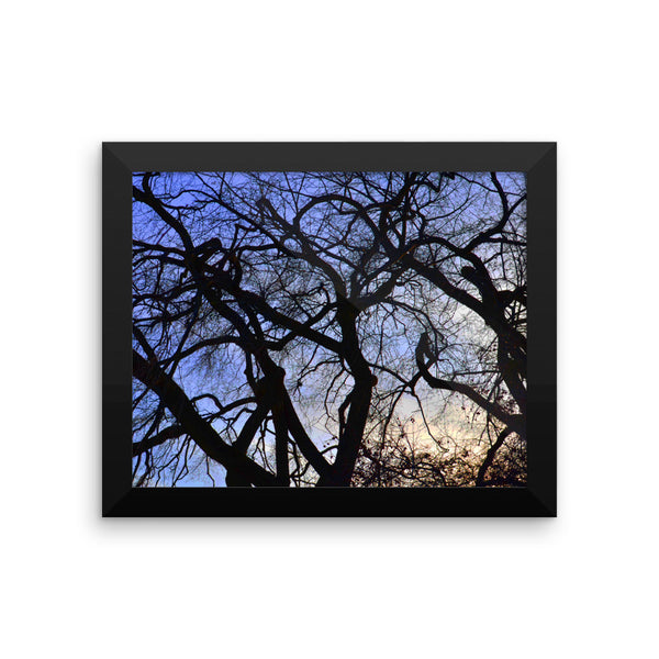 Tree Silhouette Framed Poster