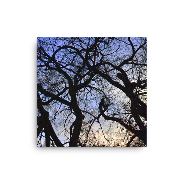 Tree Silhouette Canvas