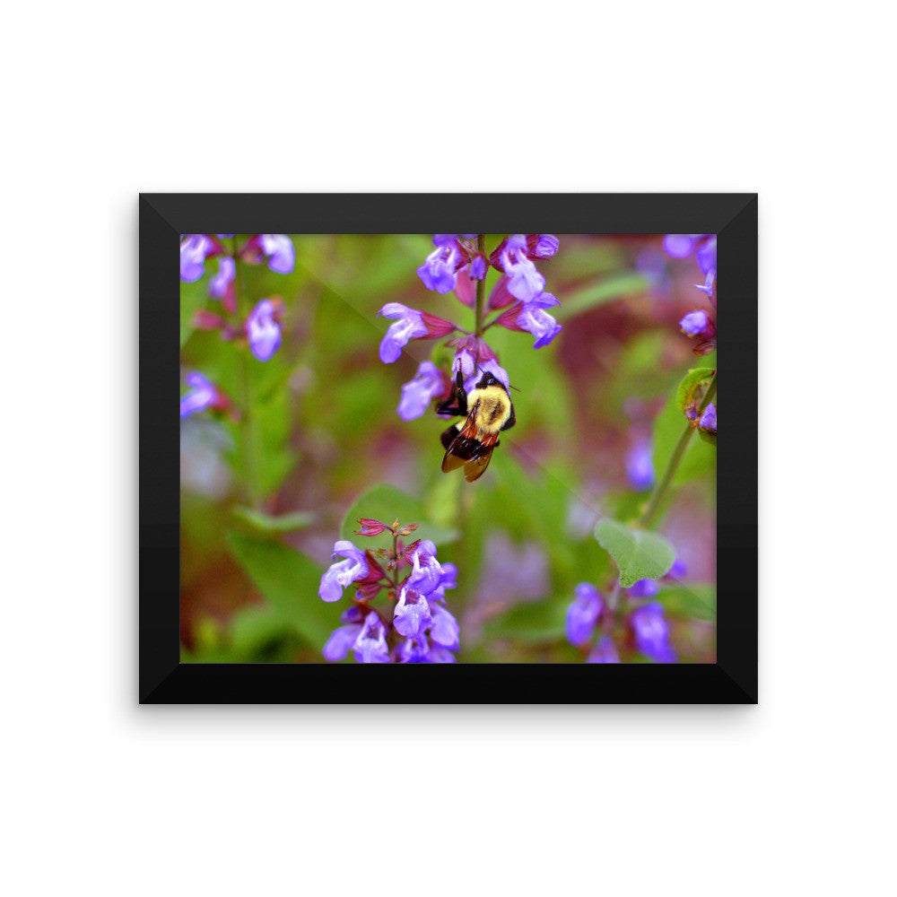 Bee Framed Poster
