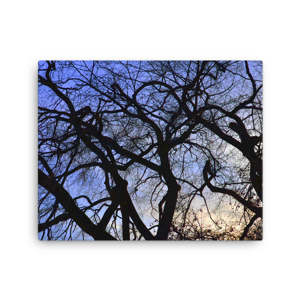 Tree Silhouette Canvas