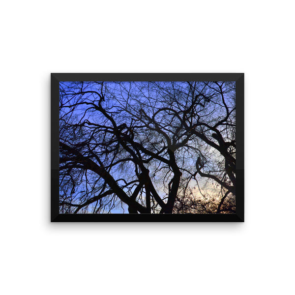 Tree Silhouette Framed Poster